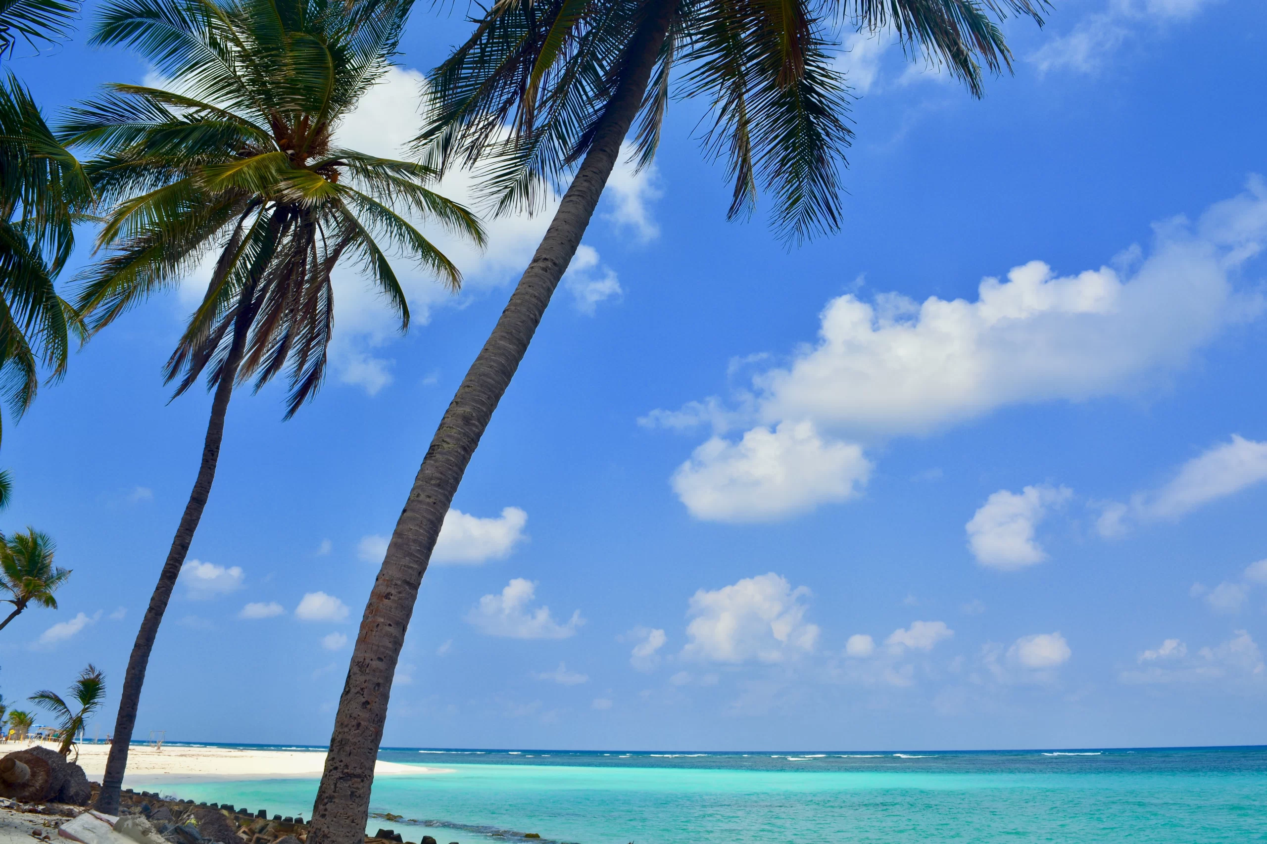 7 Reasons to Visit Lakshadweep Island in 2024